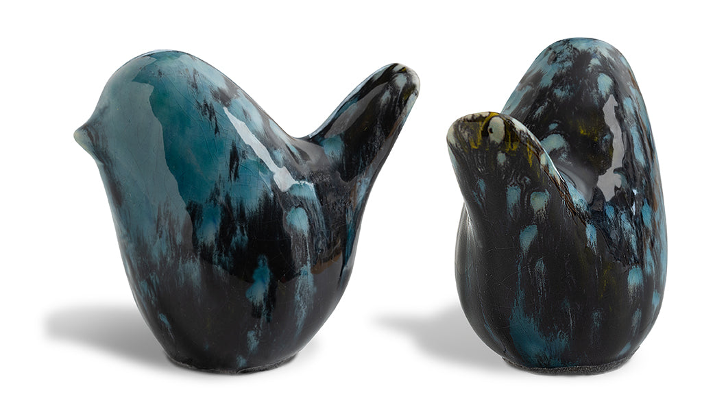 Bird 1007: Glaze Equador